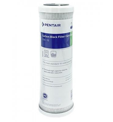 10mic 10" x 2.5"  PENTAIR